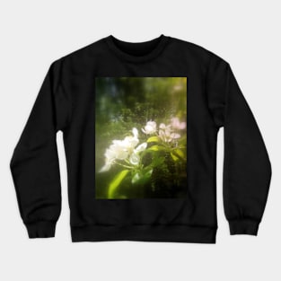 apple blossoms #2 Crewneck Sweatshirt